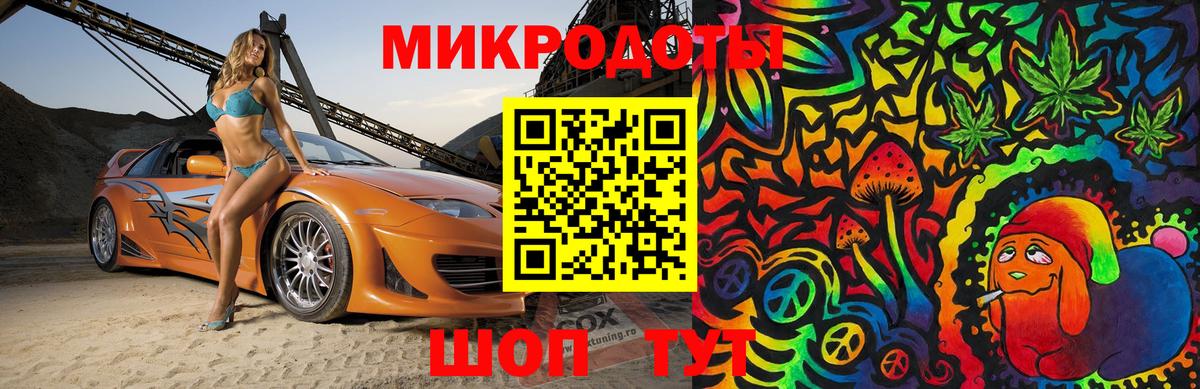 Псилоцибиновые грибы Psilocybe Новозыбков